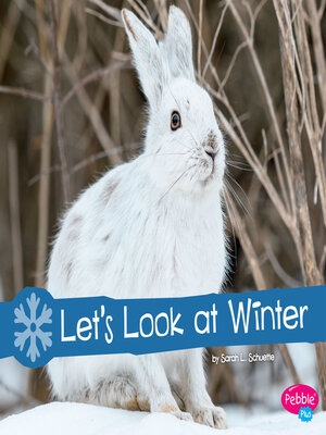 cover image of Let's Look at Winter